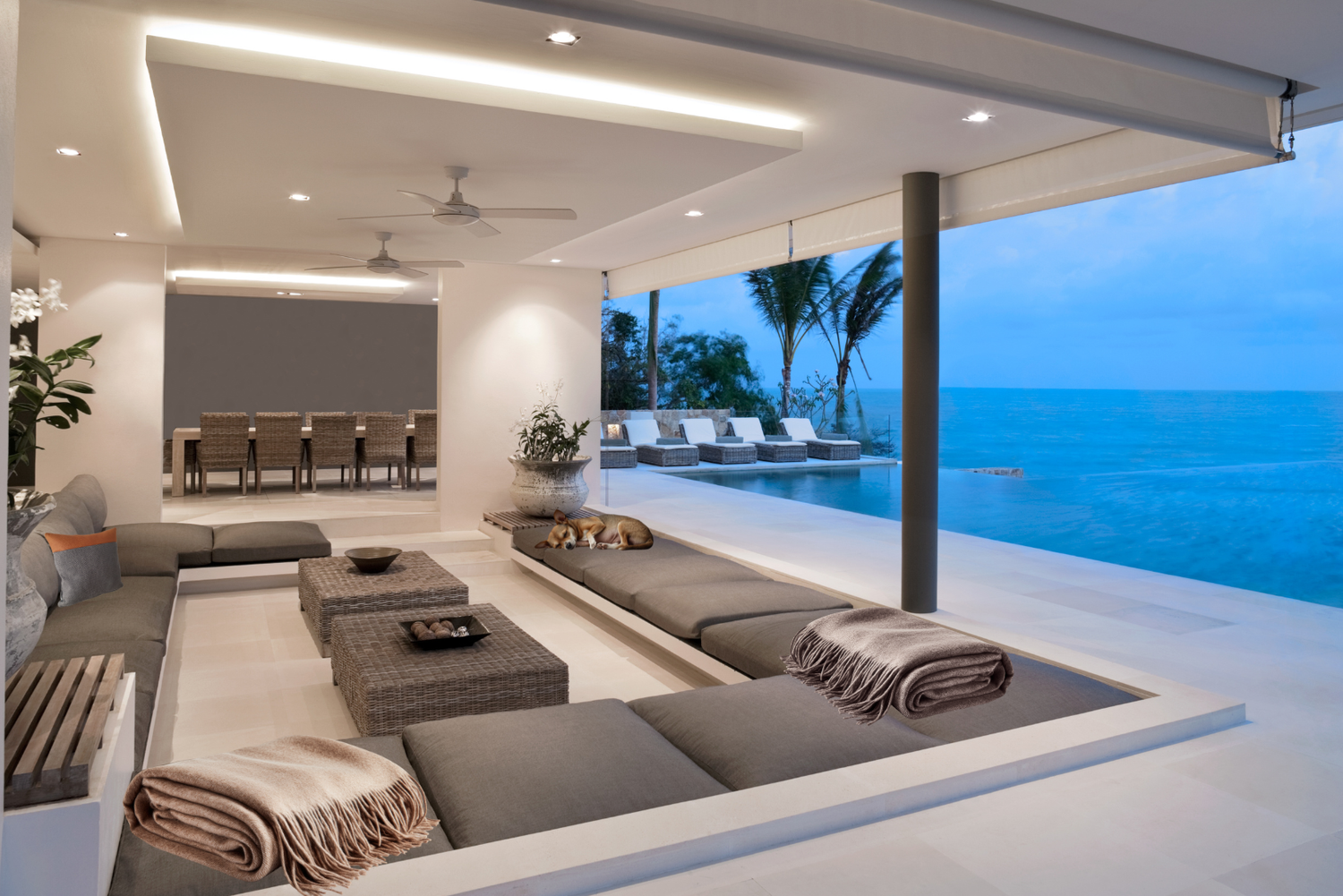 Kaschmir Decken Plaids - Balldiri & Windhound