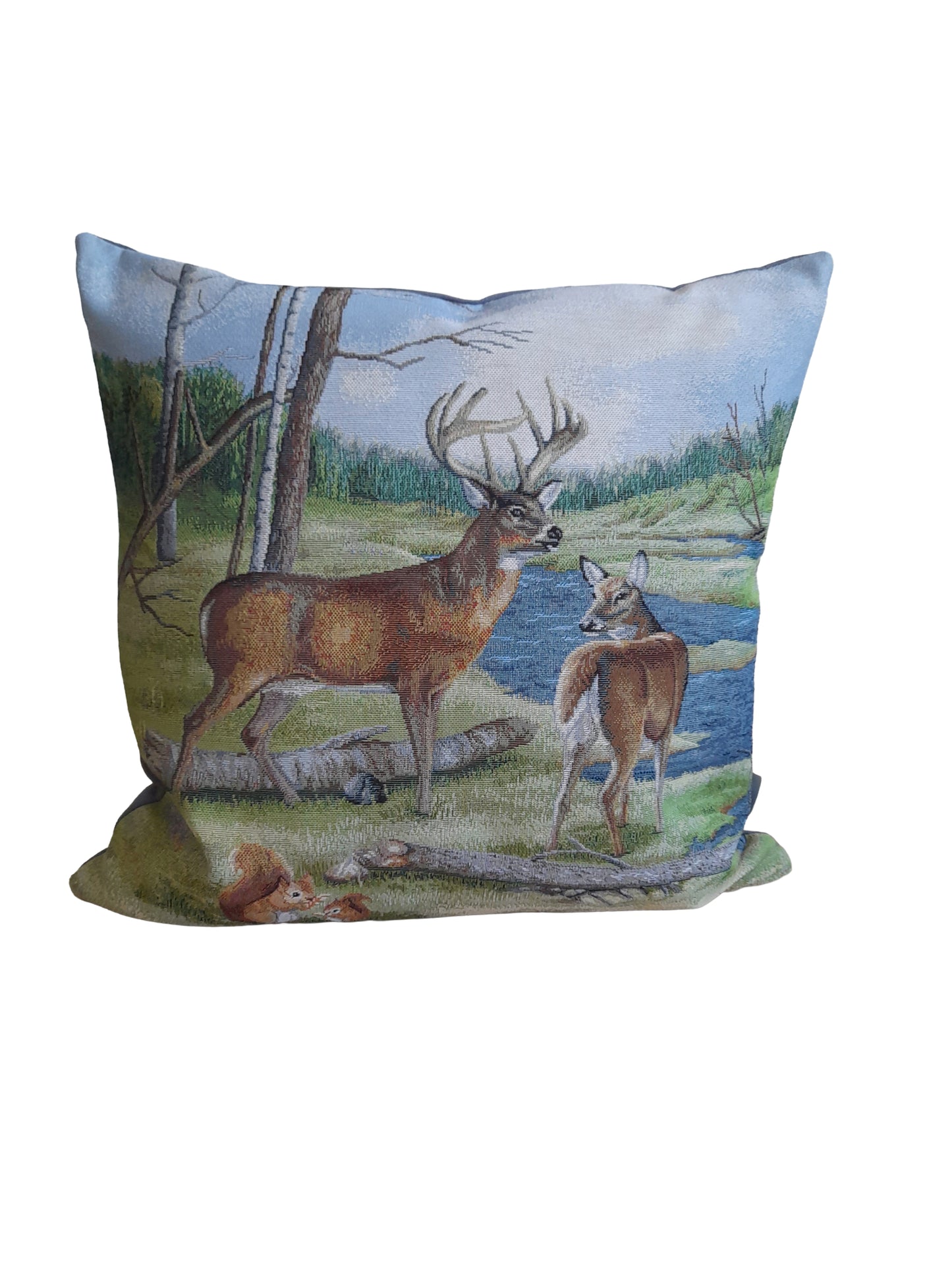 Balldiri 40x40cm Kissenbezug