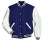 Windhound US Collegejacke, Baseball, Rindslederärmel, Retro, Jacke, 90er 80er