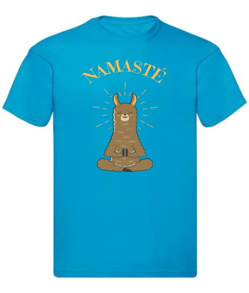 Balldiri T-Shirt Herren Yoga Meditation Namaste S bis 5XL
